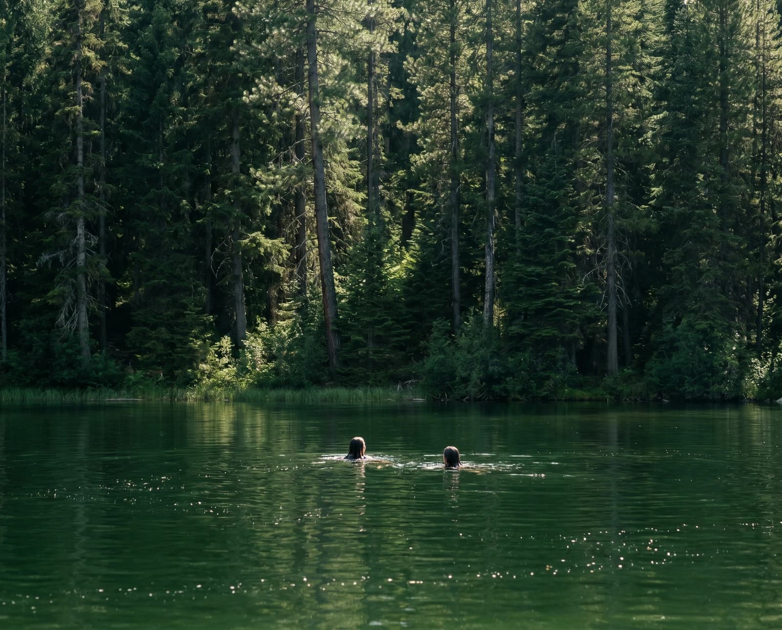 swimming