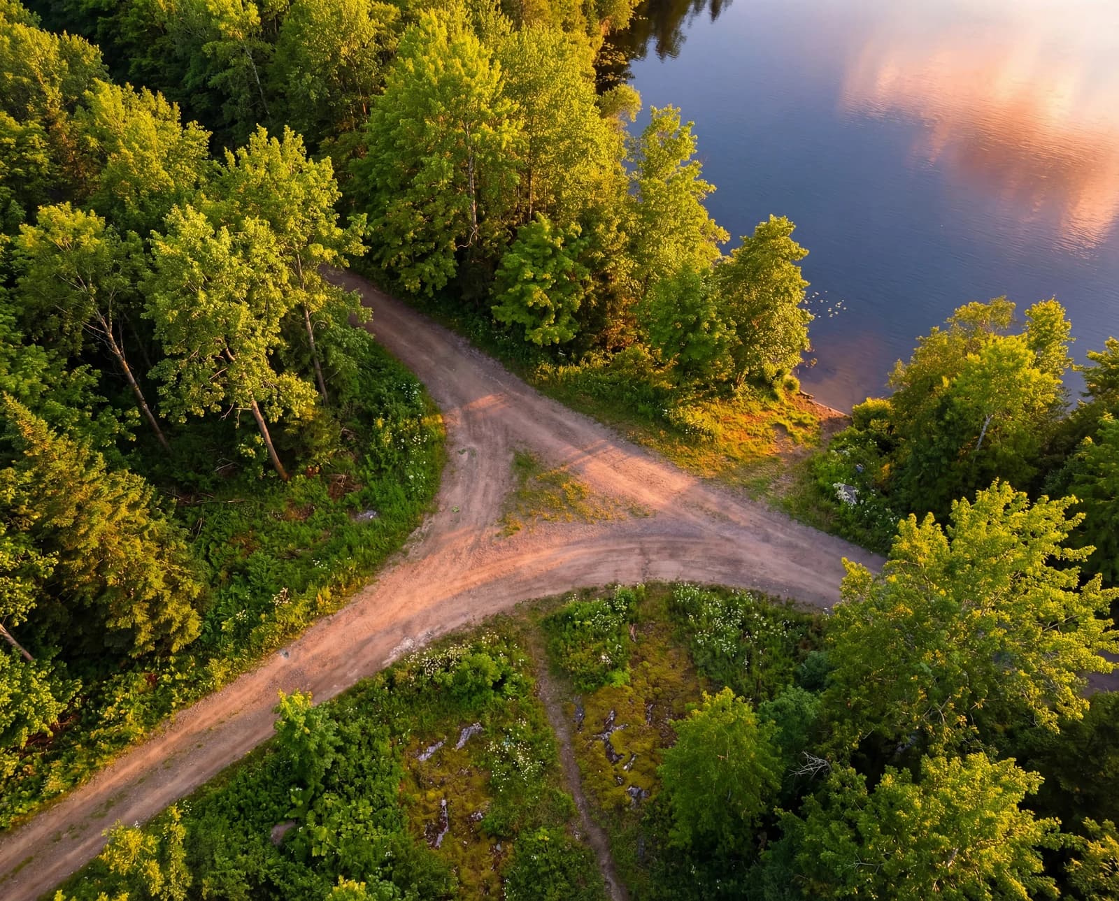 Summer trail fork at lake edge, top-down aerial view