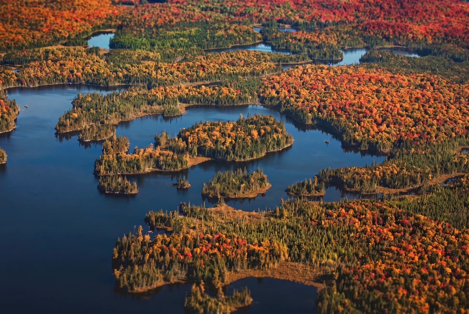 Aerial view of autumn forest and lakes at Méchante Cabane