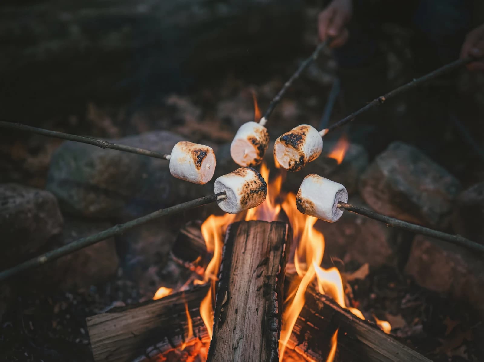 Marshmallows over campfire