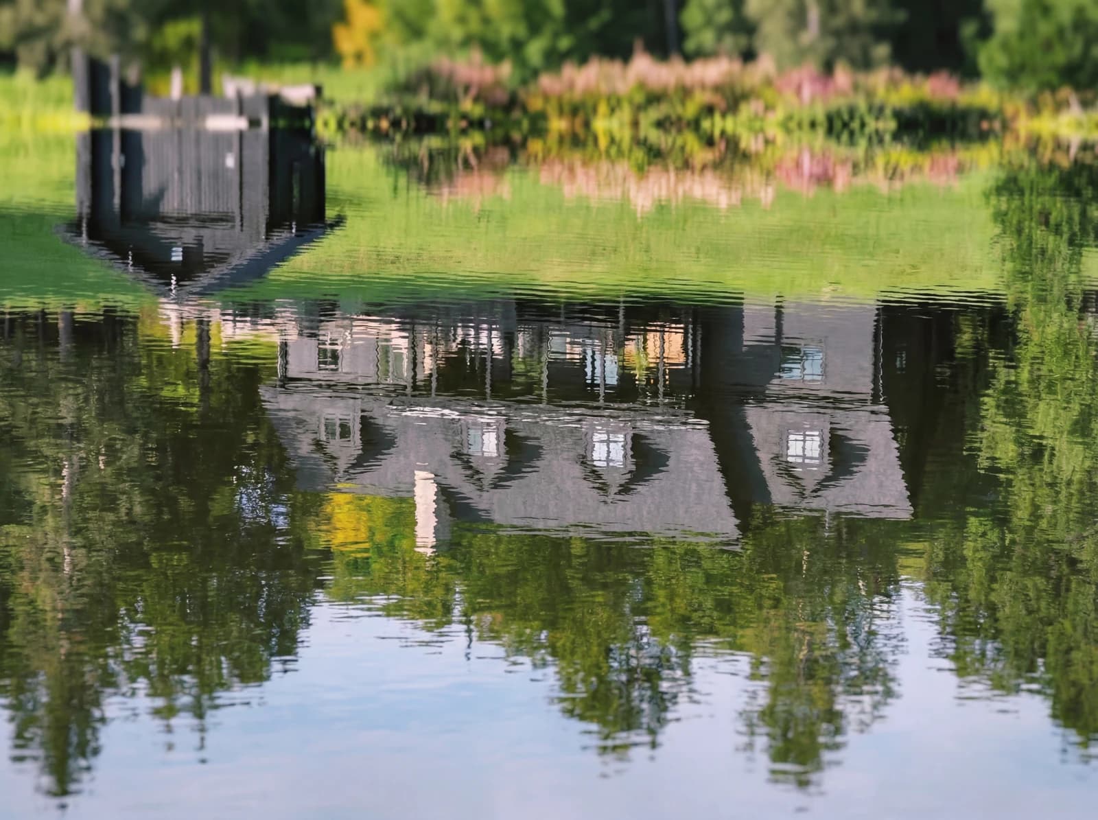 Lake reflection at dawn