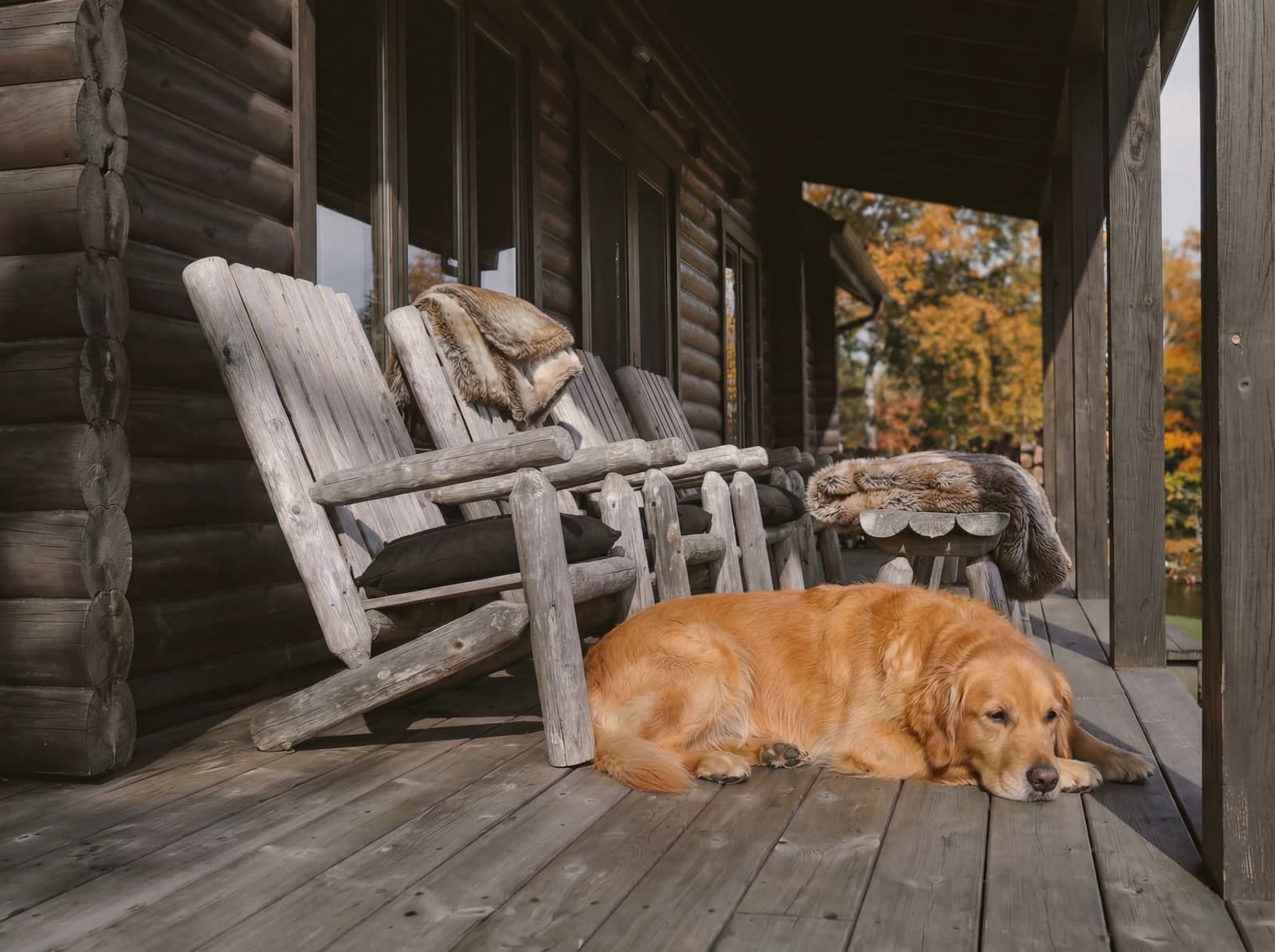 Porch with rocking chairs and golden retriever