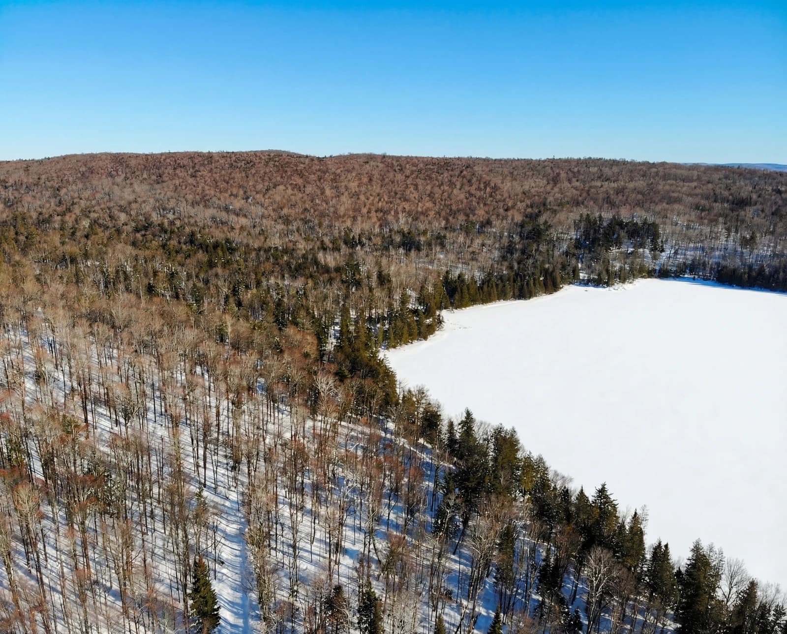 Vue aérienne d'un lac entouré de forêt aux couleurs d'automne