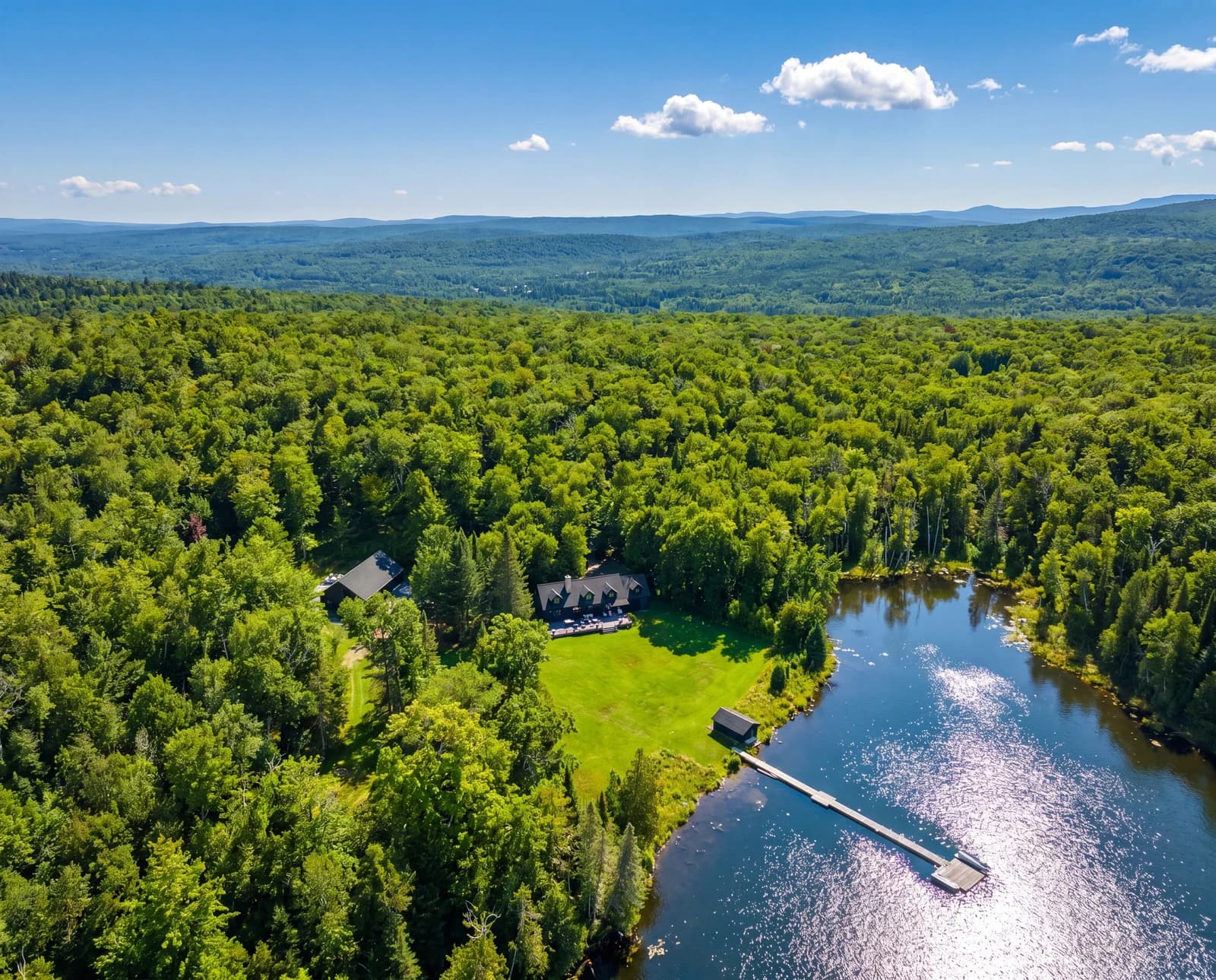 Vue aérienne de la forêt estivale s'ouvrant sur un lac privé