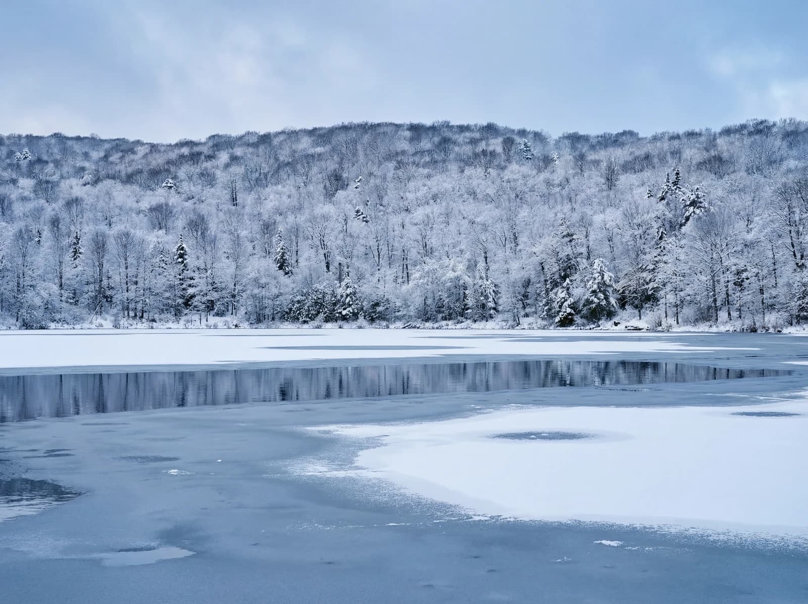 Lac gelé et forêt vus d'en haut en hiver