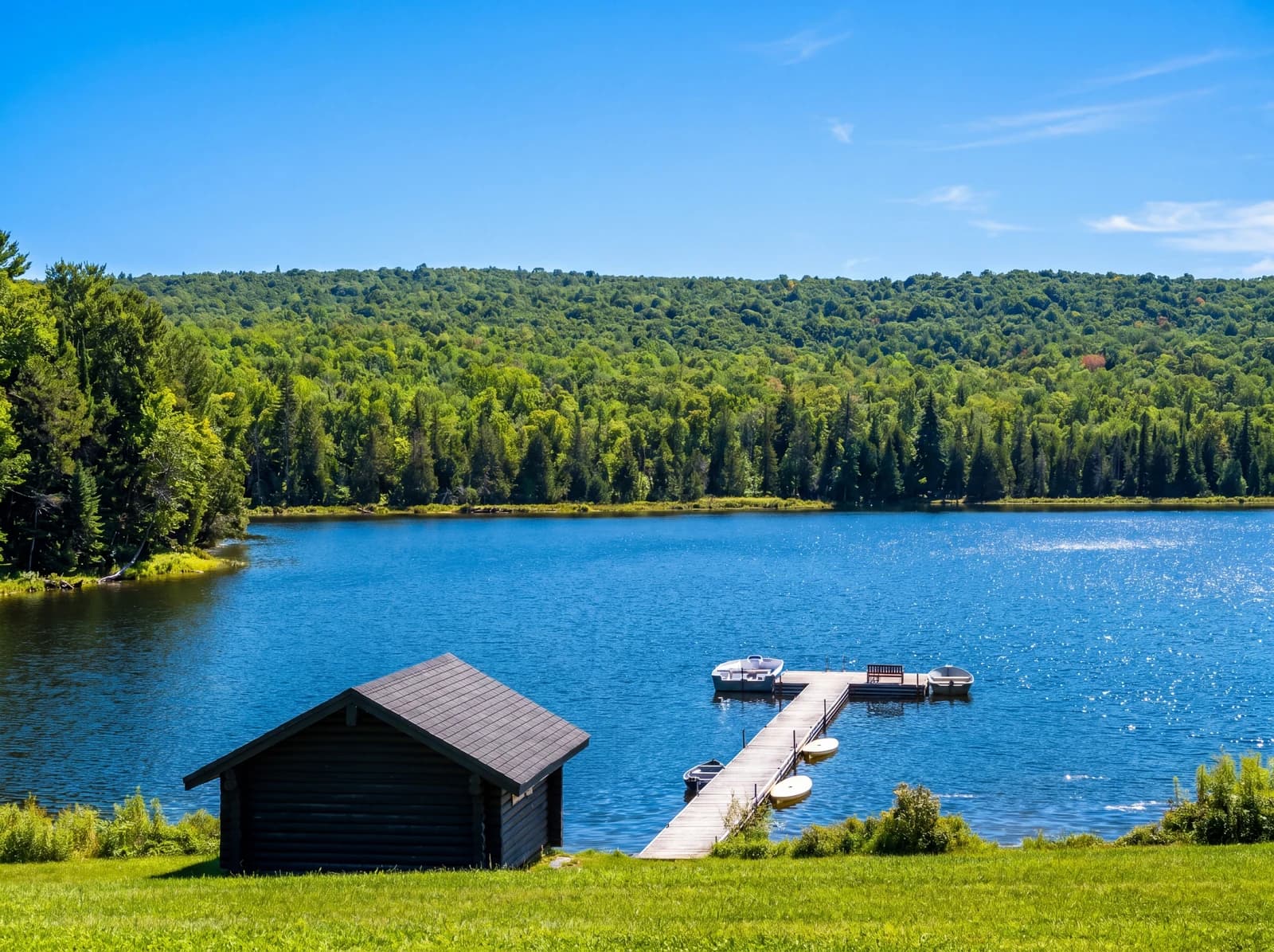 Lake with dock and boathouse framed by forest