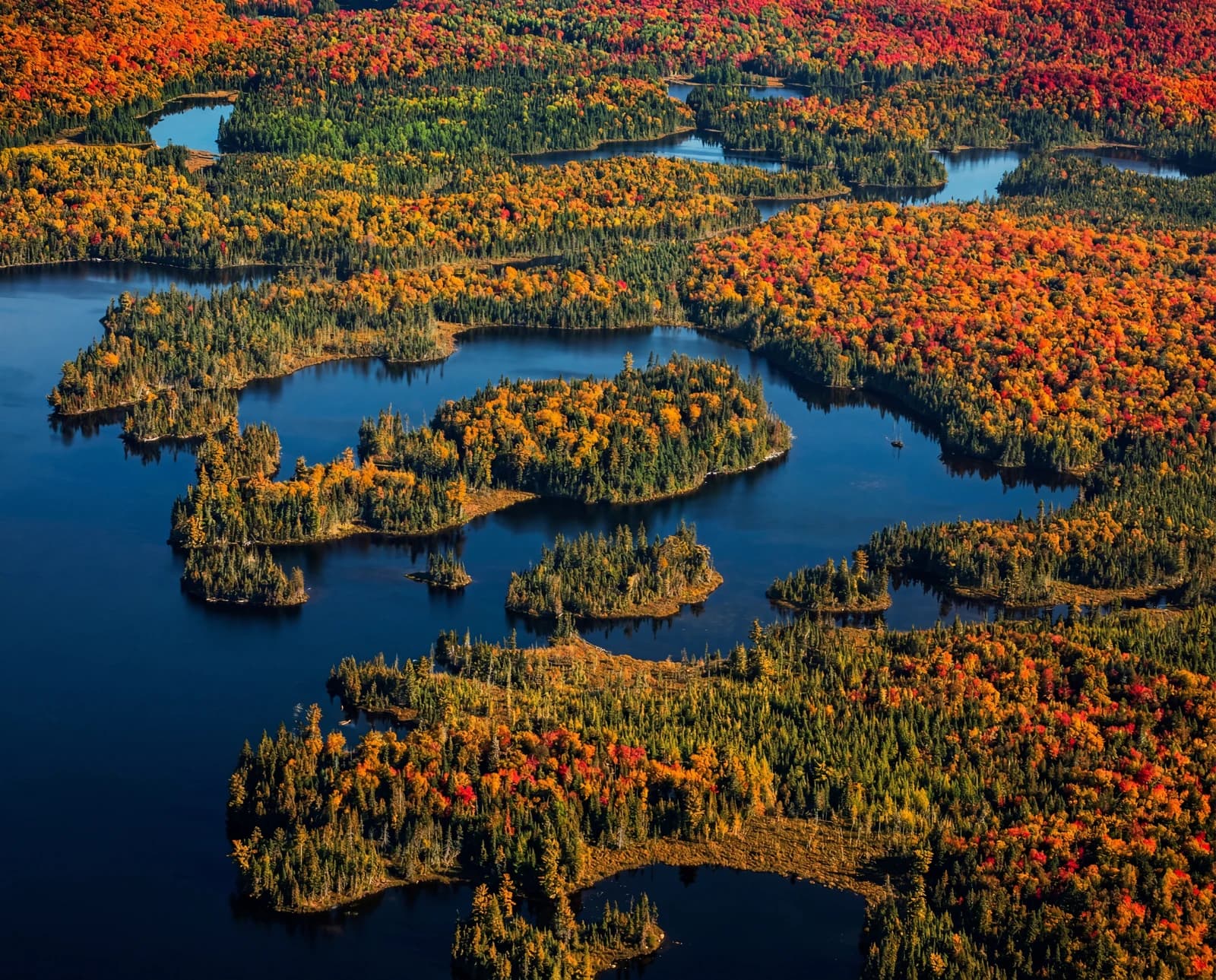 Vue aérienne de marécages et de forêt d'automne traversés par l'eau