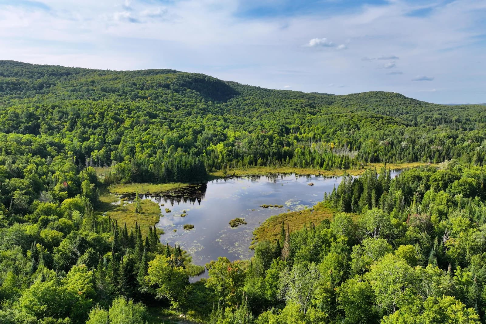 Vue aérienne d'un des lacs privés, miroitant dans la forêt laurentienne dense